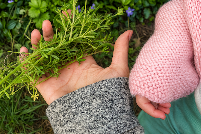 Beginner Gardening Tips I Wish I Knew Sooner